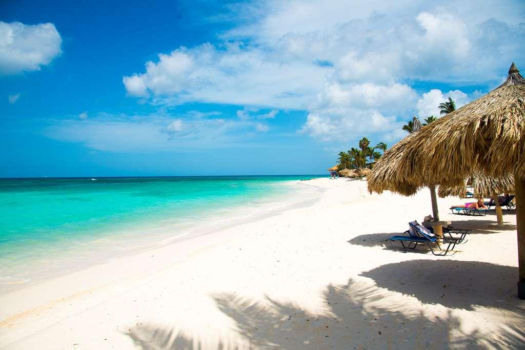 Divi Dutch Village Beach Resort شاطئ بالم الطبيعة الصورة