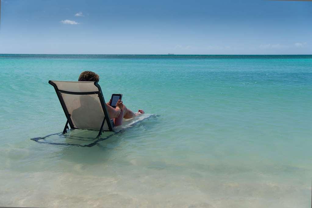 Divi Dutch Village Beach Resort شاطئ بالم الطبيعة الصورة